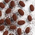 CALICO DRAGÉES Almonds no sugar 100 g
